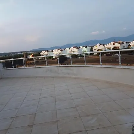 Ali Villa